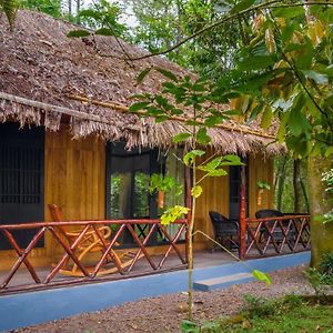 Elegant Cottage